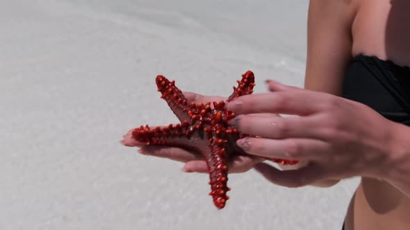 Woman's Hand Holds a Red Starfish Over Transparent Ocean Water on White Beach