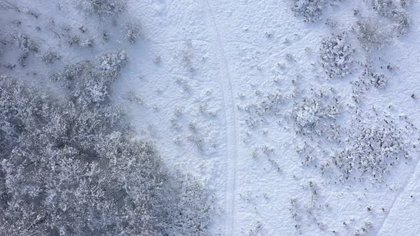 Ground and trees seen from above by winter 4K drone video