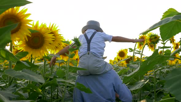 Happy Childhood, Kid Raises Hands Imitating Flight on Sunflower Field