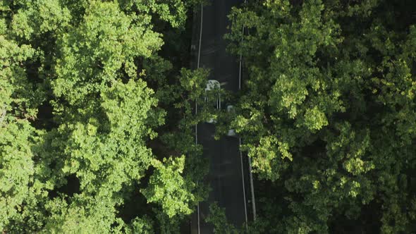 Aerial view of vehicles driving a mountain road, Tangmarg, Kashmir, India.