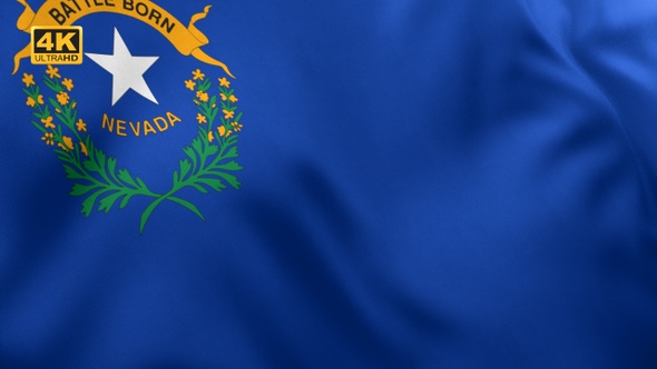 Nevada State Flag - 4K