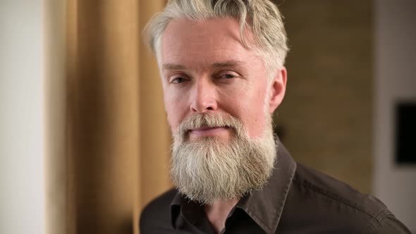 Close up portrait of stylish adult bearded man with gray hair