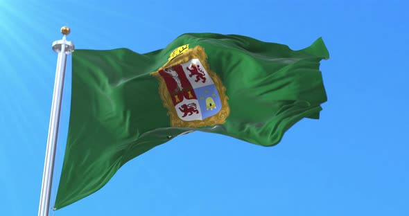 Flag of Leon, Mexico