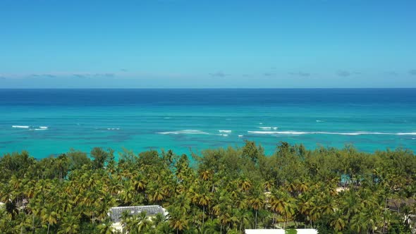 Tropical Seashore with Resorts Palm Trees and Caribbean Sea