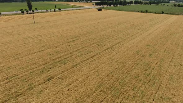 Flight over the Wheat Field.