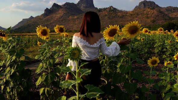 slow-motion of cheerful woman walking and enjoying with sunflower