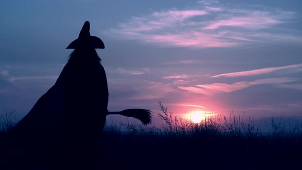 a Witch with Besom Posing on the Hill Halloween Evening Skyline