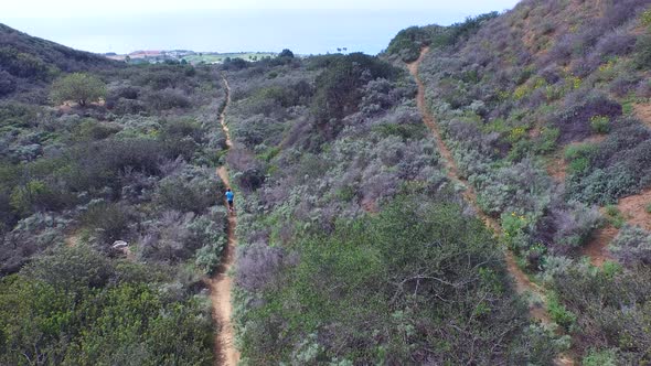 Aerial shot of a young man trail running on a scenic hiking trail.