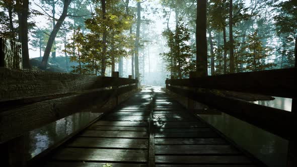 Old Wooden Bridge Over a Small Stream in a Park