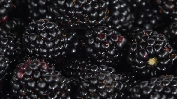 Fresh Blackberries, Rotating