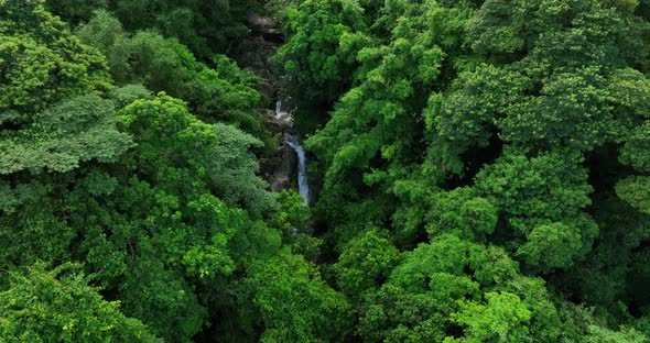 Aerial footage of beautiful tropical forest mountain landscape in summer