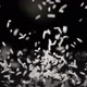Rice Falls on a Solid Black Surface - VideoHive Item for Sale
