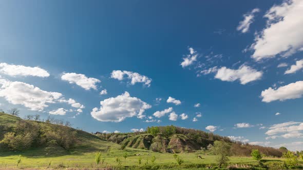 Green Field and Blue Sky with White Cloud Timelapse