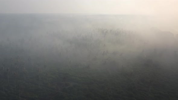 Aerial view misty fog at plantation due smoke release of fire burning