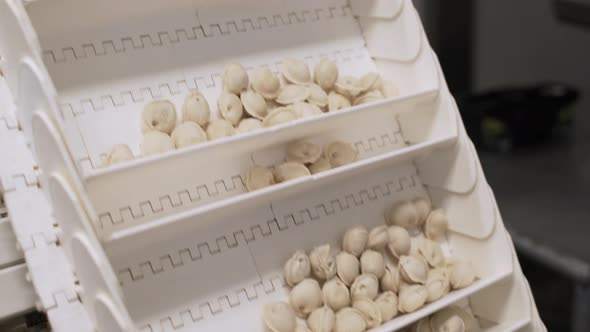 Conveyor Belt at the Factory for Production of Dumplings