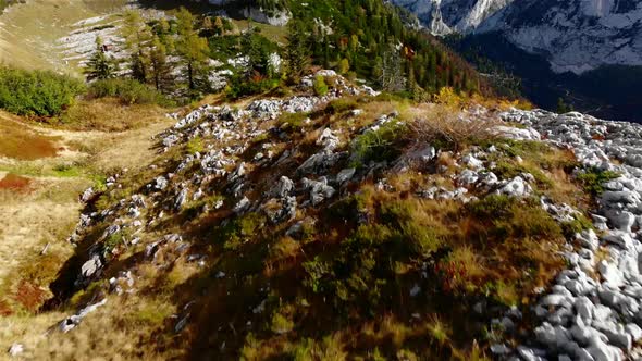 Beautiful Autumn Landscape in the Mountains