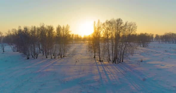 Aerial Drone View of Cold Winter Landscape with Arctic Field, Trees Covered with Frost Snow and