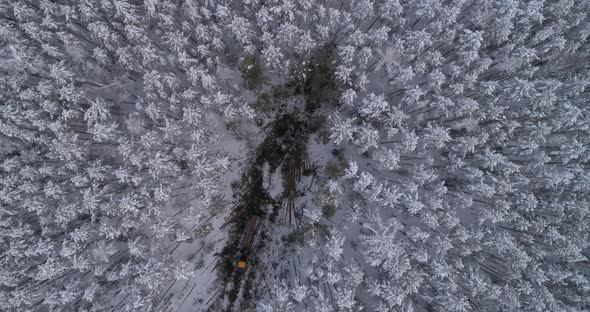 Top down Aerial view of harvester logging a trees in the winter forest 39