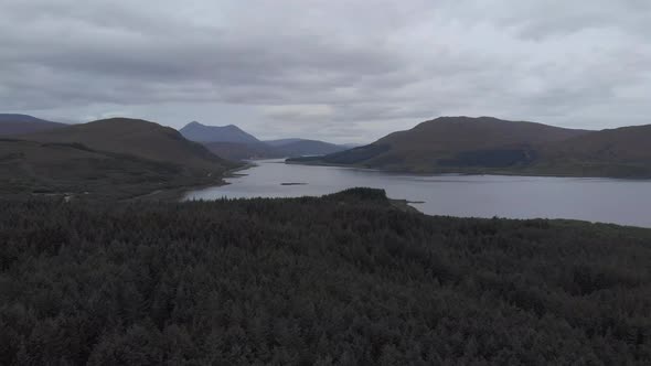 Drone shot of pine tree forest with lake and mountains in the background in isle of skye scotland. c