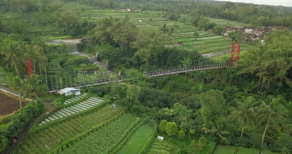 aerial drone view of suspension bridge, the valley and river with waterfall. mangunsuko bridge or Jo