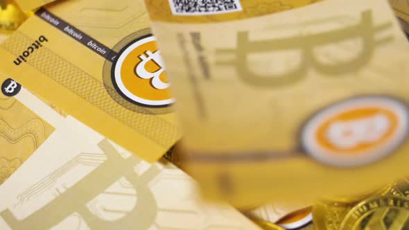 New Currency Bitcoins Cash Falls Down One By One