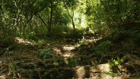 Ruins of ancient stairways  slow motion video