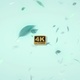Magical Leaves 4K - VideoHive Item for Sale