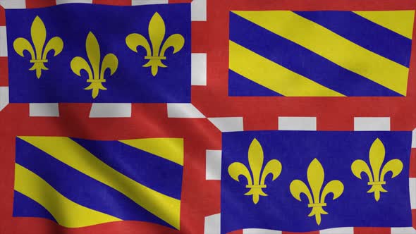 Bourgogne Flag Region of France Waving in the Wind