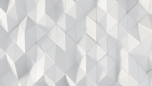 Elegant White Polygons 23