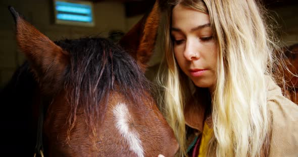 Woman stroking horse in stable 4k