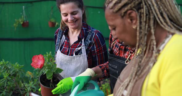 Multiracial women working inside greenhouse garden - Nursery and spring concept
