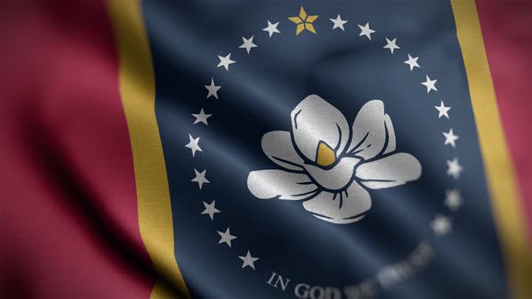 Mississippi State Flag Angle
