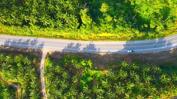 Aerial view of the road