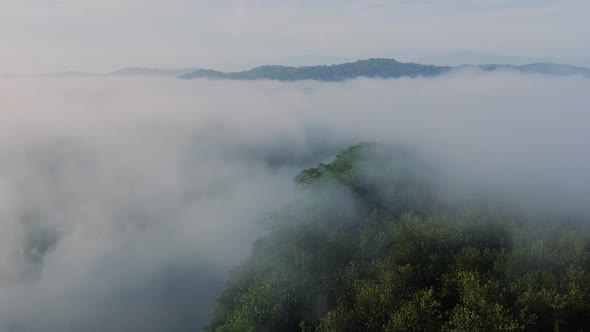 Aerial Drone View of Costa Rica Rainforest Landscape with River and Mountains, Amazing Nature and Mi