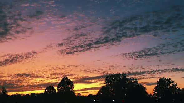 Perfect Beautiful Sunset with Blue Red & Orange Colors | Shadow of Trees [Pan Shot]