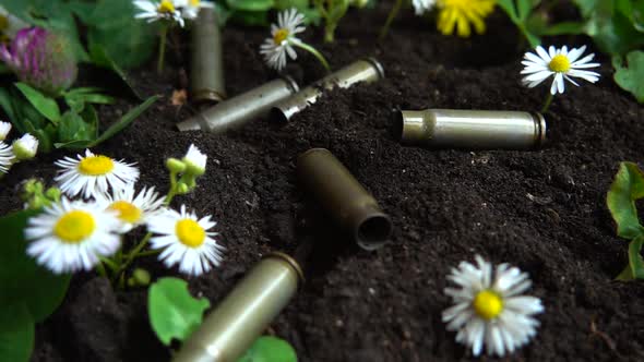 Bullet casings fall to the ground and chamomile flowers. Slow motion. alt