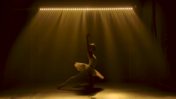 Graceful Ballerina Dancing White Swan Part. Dancing of Elements Classical Ballet. Silhouette of a