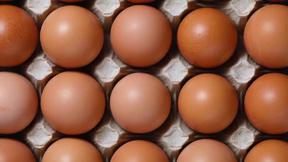 Fresh brown eggs in a cardboard tray full frame close up 