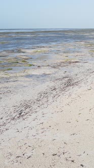 Vertical Video of Low Tide in the Ocean Near the Coast of Zanzibar Tanzania