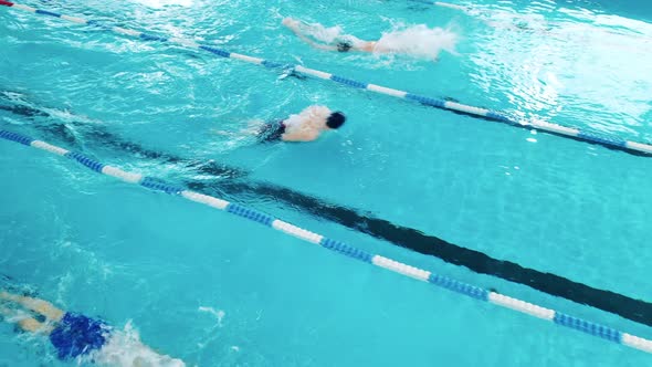 Athletes Swim Butterfly in a Swimming Pool
