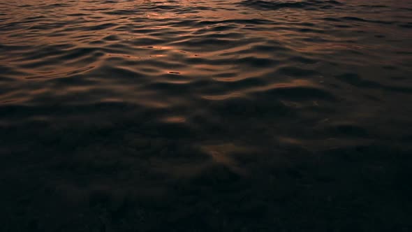 Calm Shallow Bay Water in Slow Motion