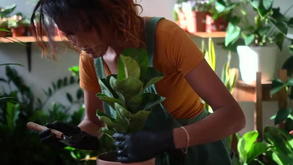 Houseplant Transplant By African Woman in Room with Spbd Flowers