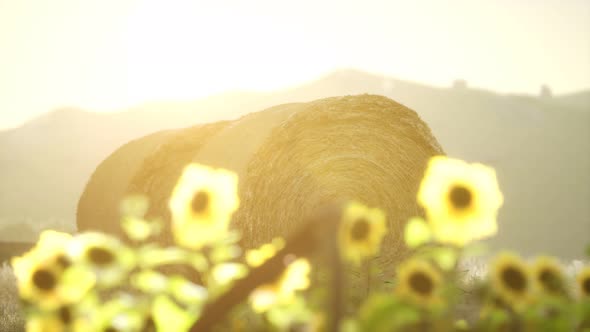 Hay Bales in the Sunset