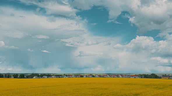 Dramatic Sky With Rain Clouds On Horizon Above Rural Landscape Canola Colza Rapeseed Field