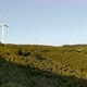 Wind turbines are spinning on a hill with green forest and blue sky - VideoHive Item for Sale