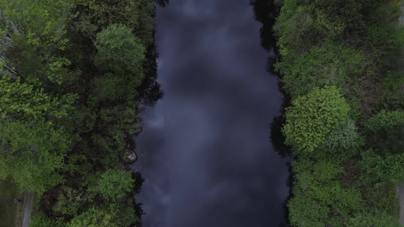 overhead shot of straight, dark swampy river.