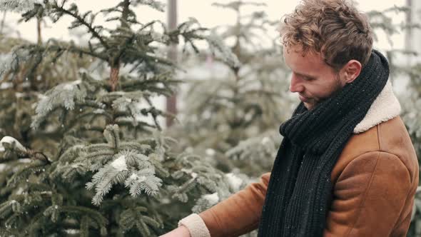 Young Man Choosing Christmas Tree at Outdoor Store