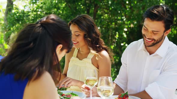 Happy two couples enjoying lunch