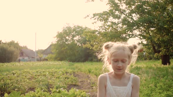 Child Girl Playing With The Dandelion Flower 