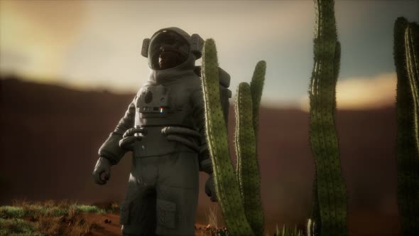 Astronauth in the High Desert of Nevada alt